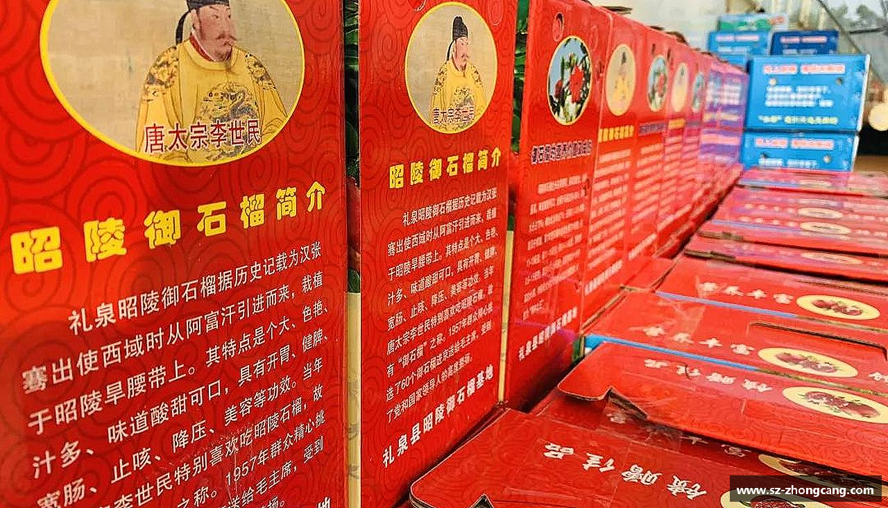 九游体育官网团结拼搏，驰骋竞技！
